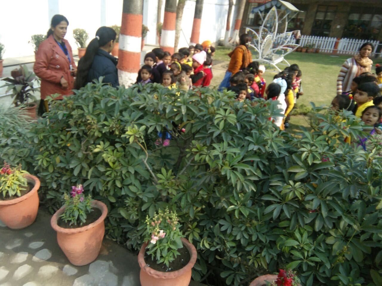 gallery
